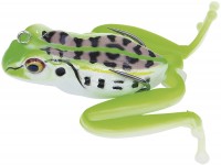 Kahara diving frog